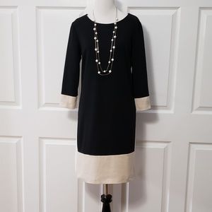 New York & Company Dress